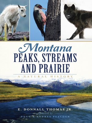 cover image of Montana Peaks, Streams and Prairie